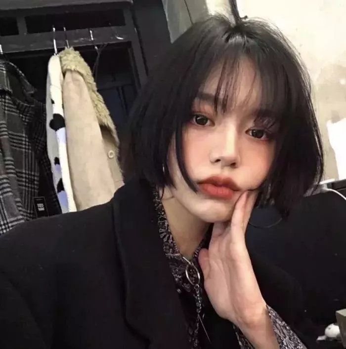 鲨海