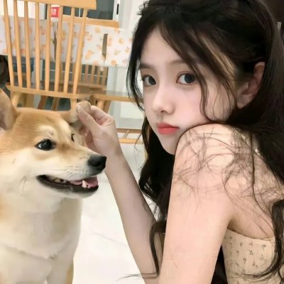 梦里花落知多少